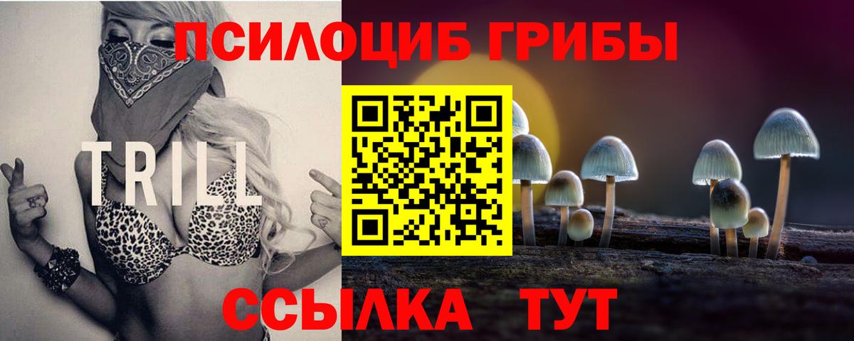 Псилоцибиновые грибы прущие грибы Свободный